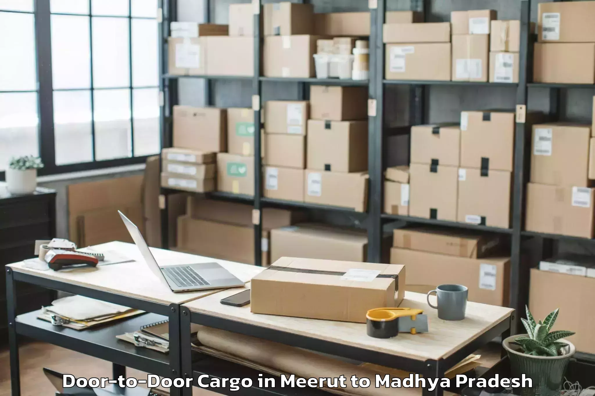 Professional Meerut to Patharia Door To Door Cargo